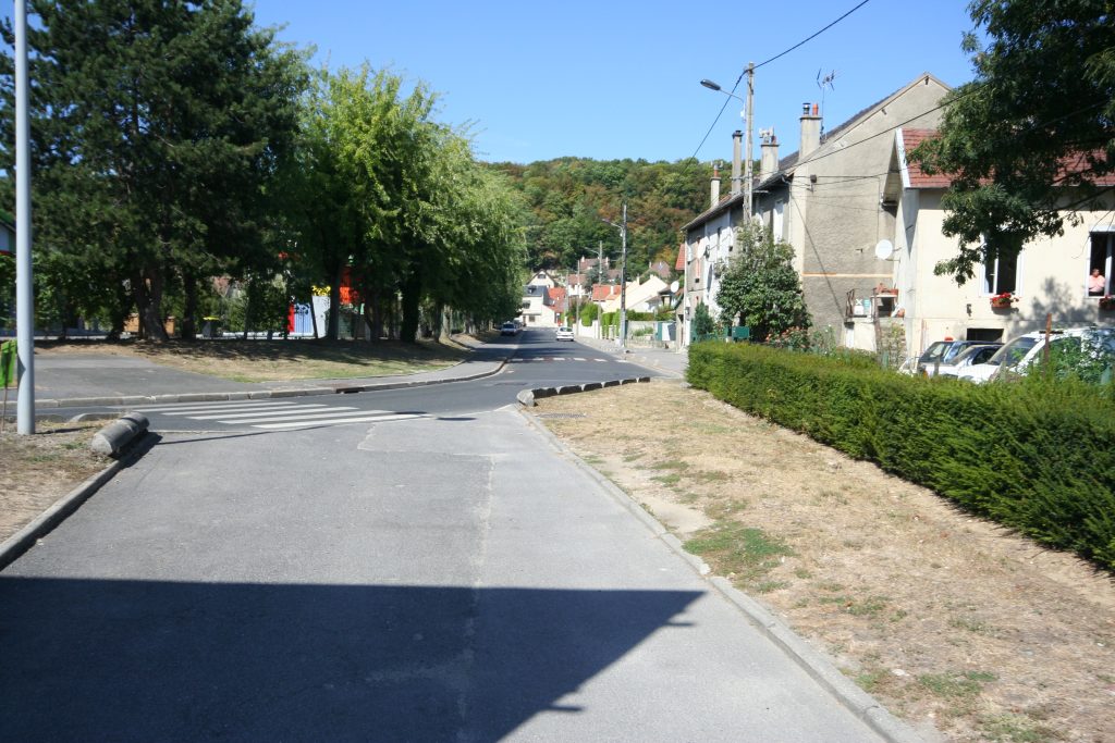 ZOLA IMG_2031
