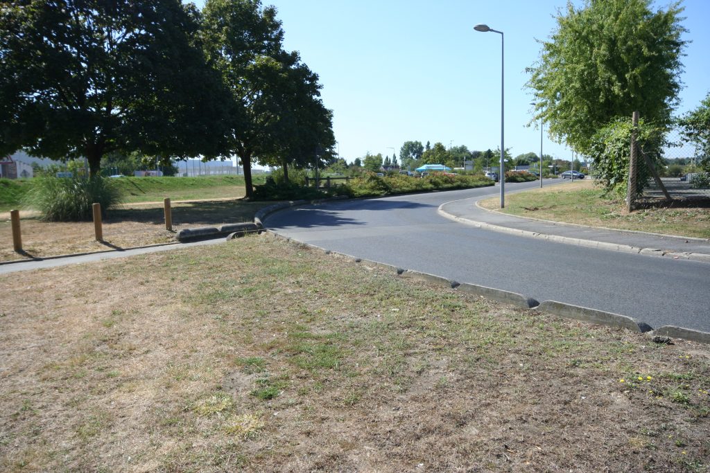 ZOLA IMG_2032